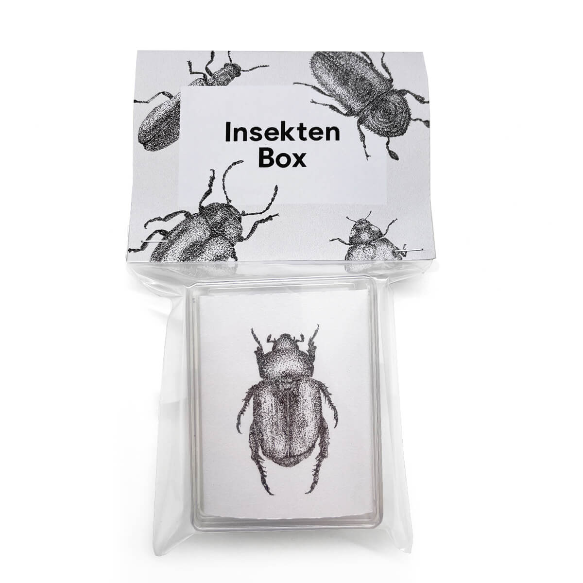 Insektenbox