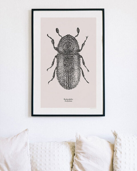 Käfer Poster Plakat